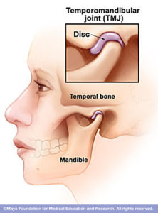 Temporomandibular Joint